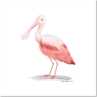 Roseate Spoonbill Bird Posters and Art